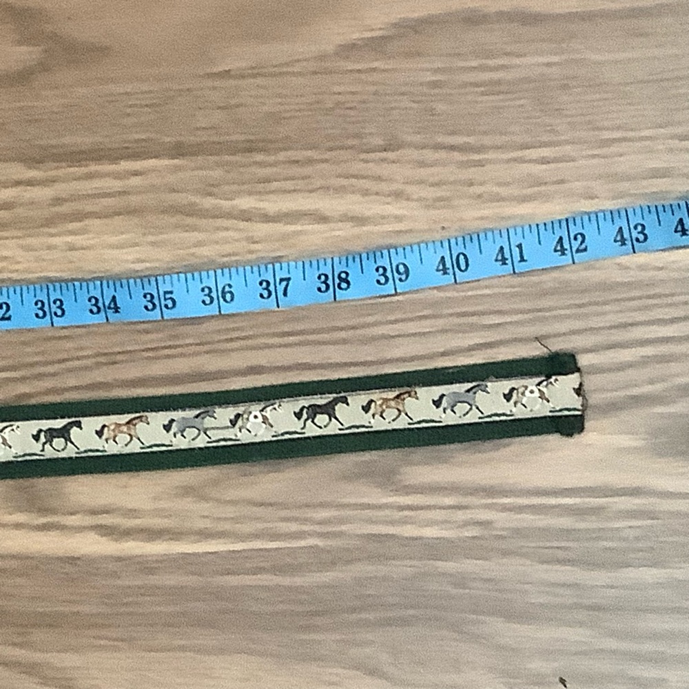 EQ Equestrian D-Ring Belt Women Size L Horses Fabric Green Beige 42.5” Long - Picture 6 of 7